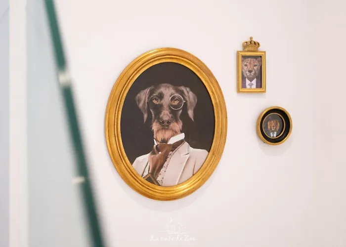 La Casa Di Zoe